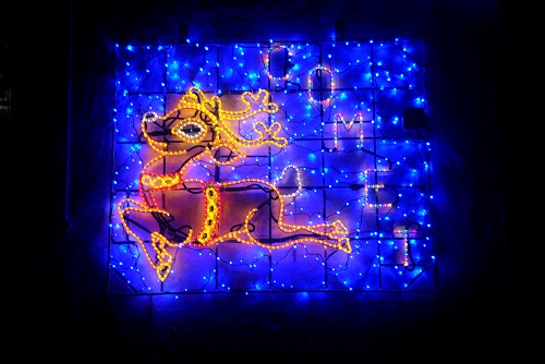 Reindeer Comet 2013 Reindeer Comet 2013