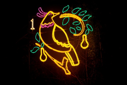 1 Partridge in a Pear Tree 2013 1 Partridge in a Pear Tree 2013